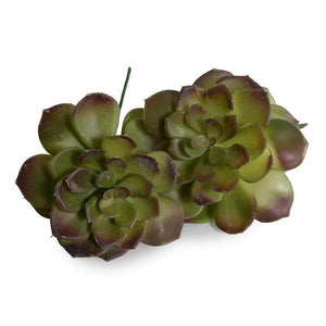 Echeveria Faux Succulent, Green/Brown