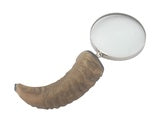 Uni Horn Magnifier