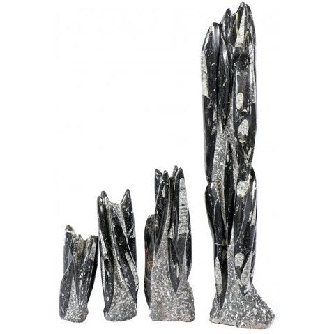 Orthoceras Fossil Tower Lrg