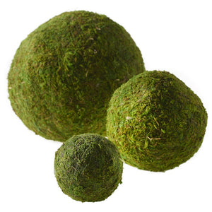 Moss Sphere 4"