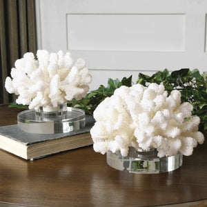 Coral Sculpture, Large