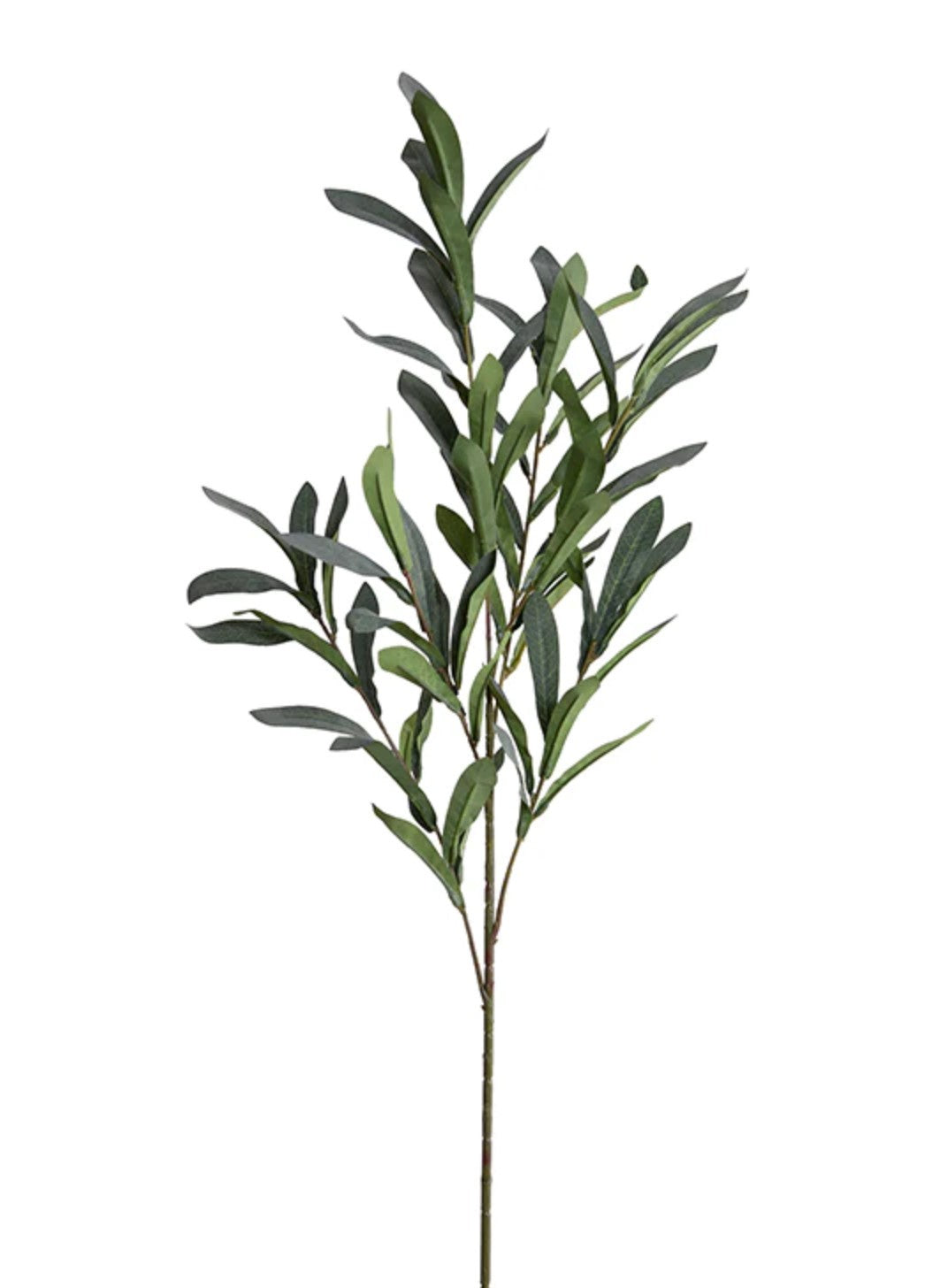 Faux Olive Leaf Stem