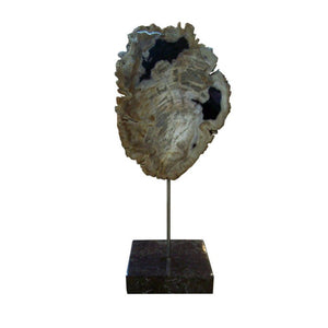 Petrified Wood Sculpture On Black Marble Base