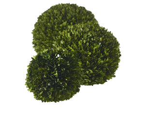 Dried Foliage Sphere