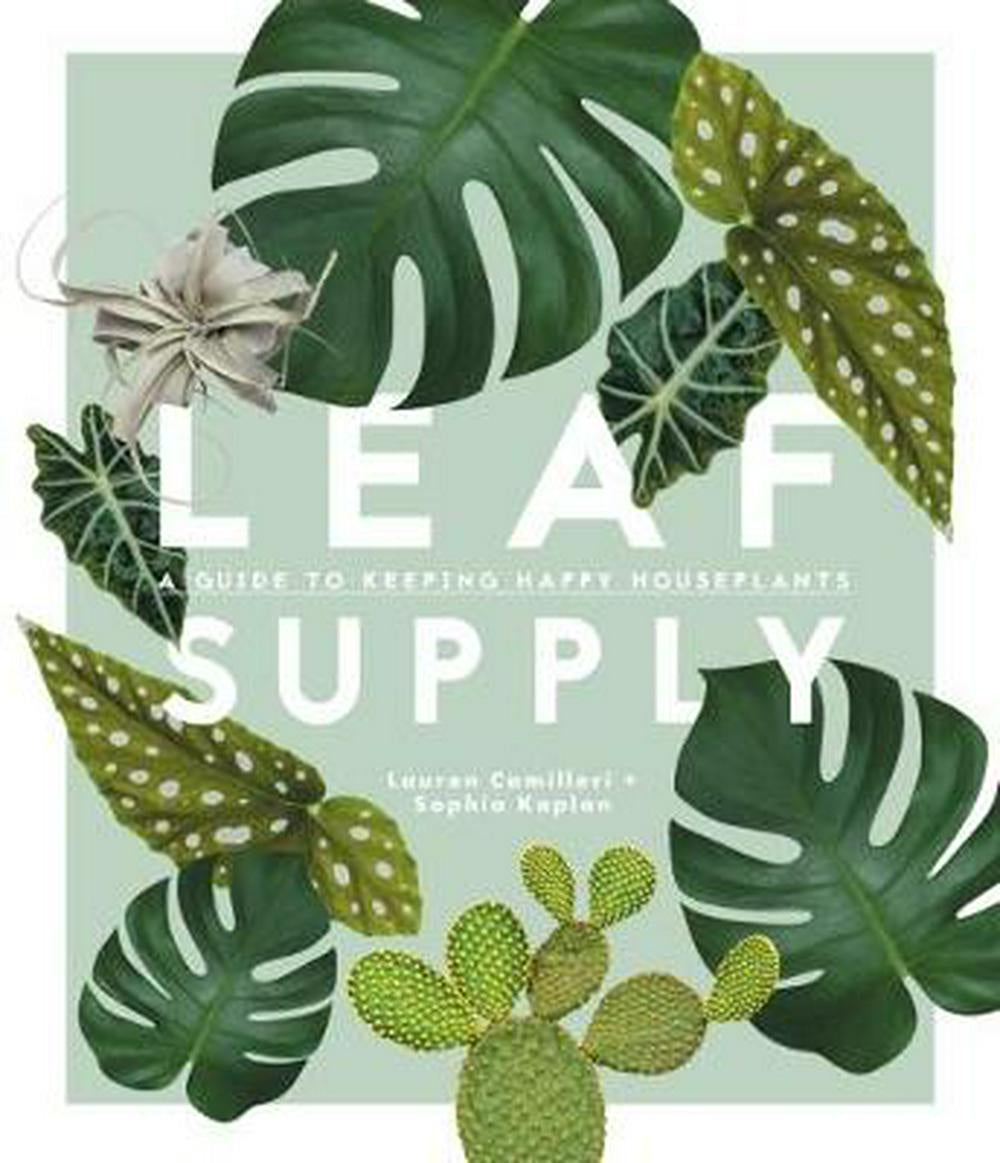 Leaf Supply A Guide to Keeping Happy House Plants